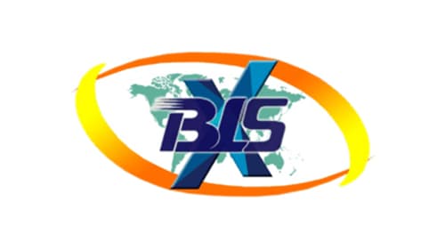 BLSX Limited logo