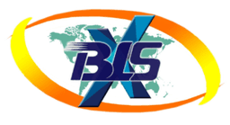 BLSX Limited Unlisted Share
